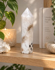 Generador Piedra Luna