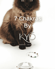 Pulsera 7 chakras - Plata